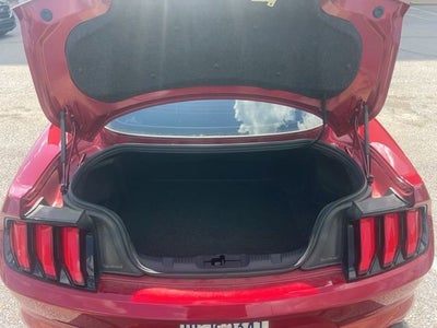 2023 Ford Mustang EcoBoost Fastback