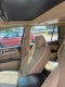 2012 Buick Enclave Premium