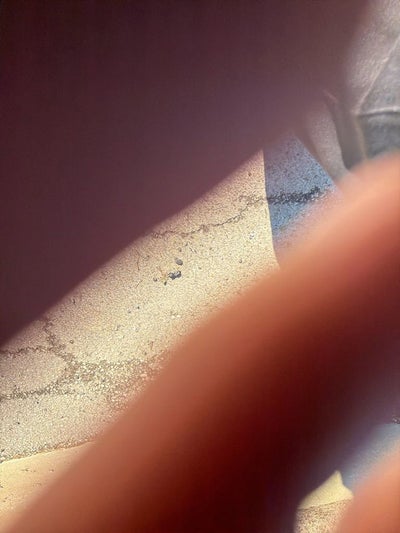 2021 Chevrolet Silverado 2500 HD Work Truck